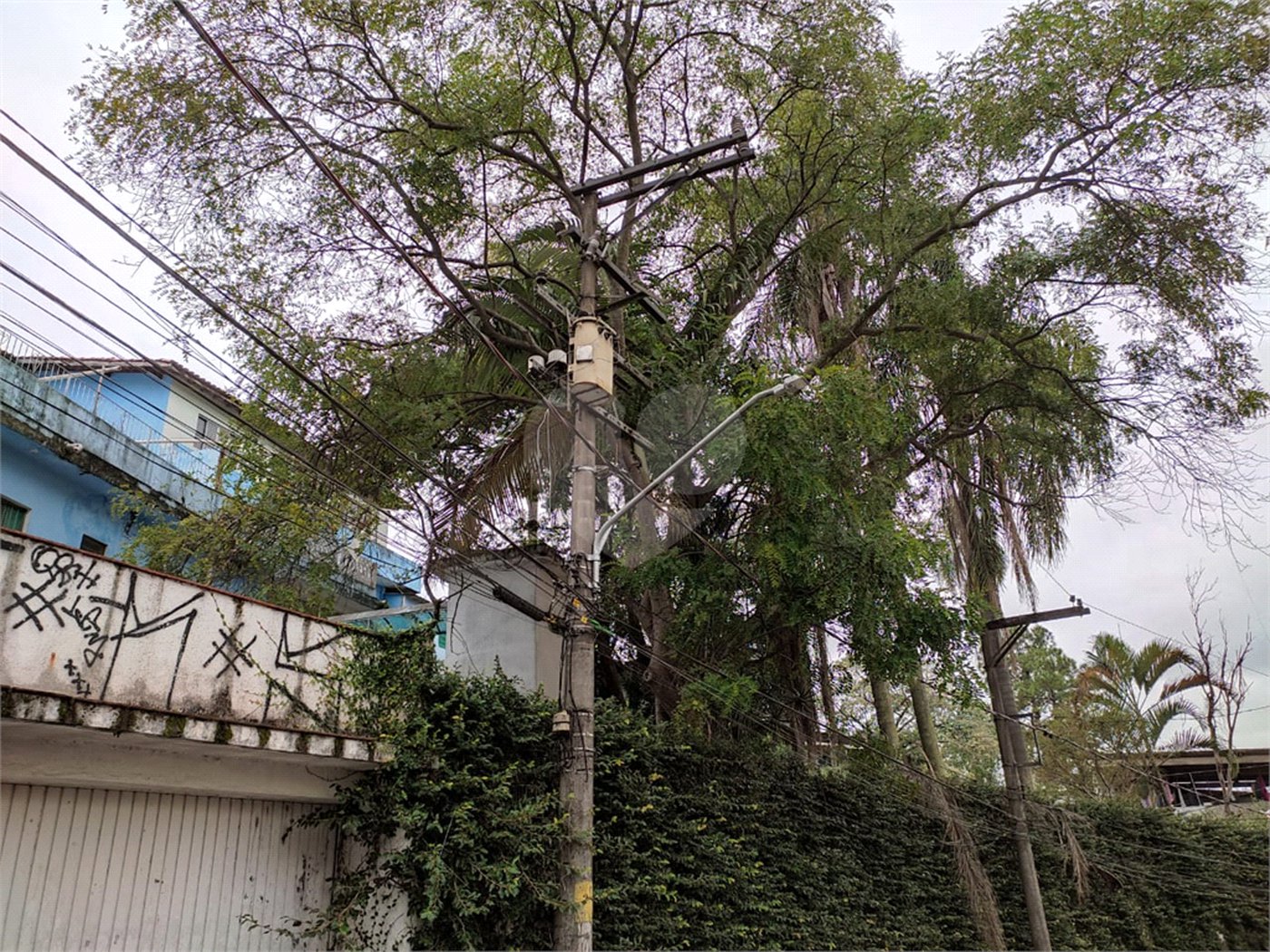 Terreno à venda com 5 quartos em Casa Verde, São Paulo, SP