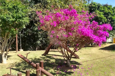 Terreno à venda com 1 suíte no condomínio Picollo Villaggio, Louveira - SP