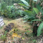 Terreno à venda em Barreiro, Mairiporã, SP