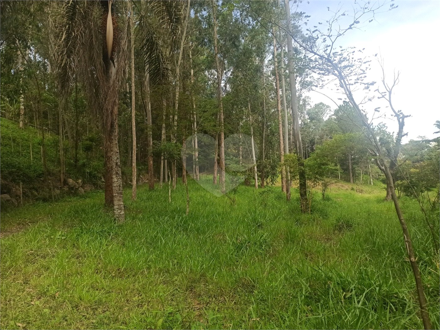 Sítio à venda com 9 quartos, sendo 5 suítes, em Portão, Atibaia, SP