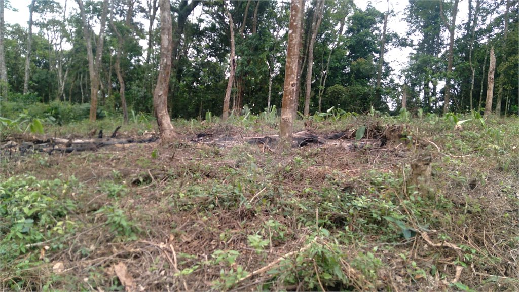 Terreno à venda em Jardim Atalaia, Cotia, SP