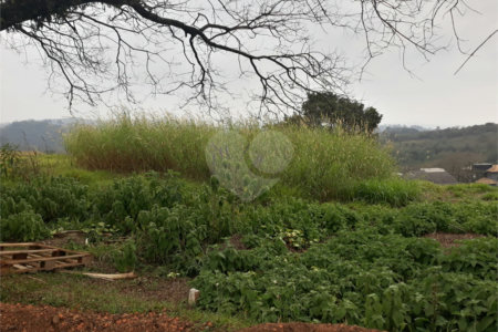 Terreno à venda em Taipas de Pedras (mailasqui), São Roque, SP