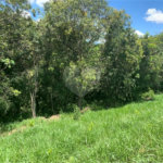 Área de Terra à venda em Cristóvão, Araçoiaba da Serra, SP