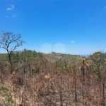 Terreno à venda em Serra da Cantareira, Mairiporã, SP