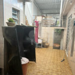 Casa Térrea à venda com 3 quartos em JAÇANÃ, São Paulo, SP
