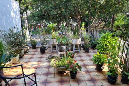 Casa à venda com 3 quartos em Jardim Bonfiglioli, São Paulo, SP