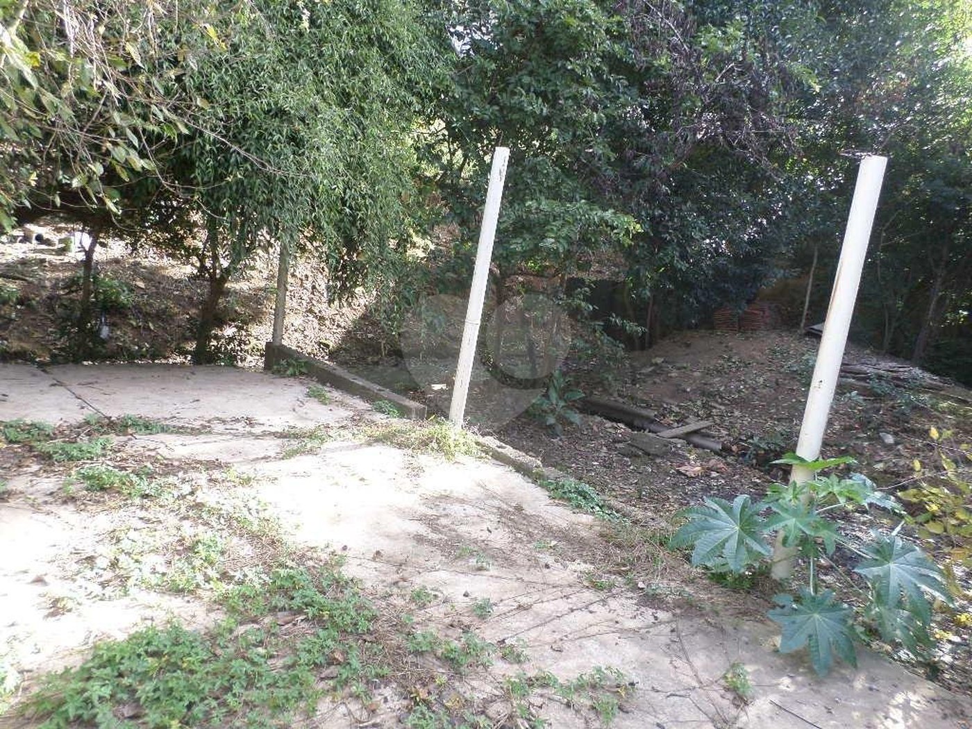 Terreno à venda ou para alugar em Água Fria, São Paulo, SP