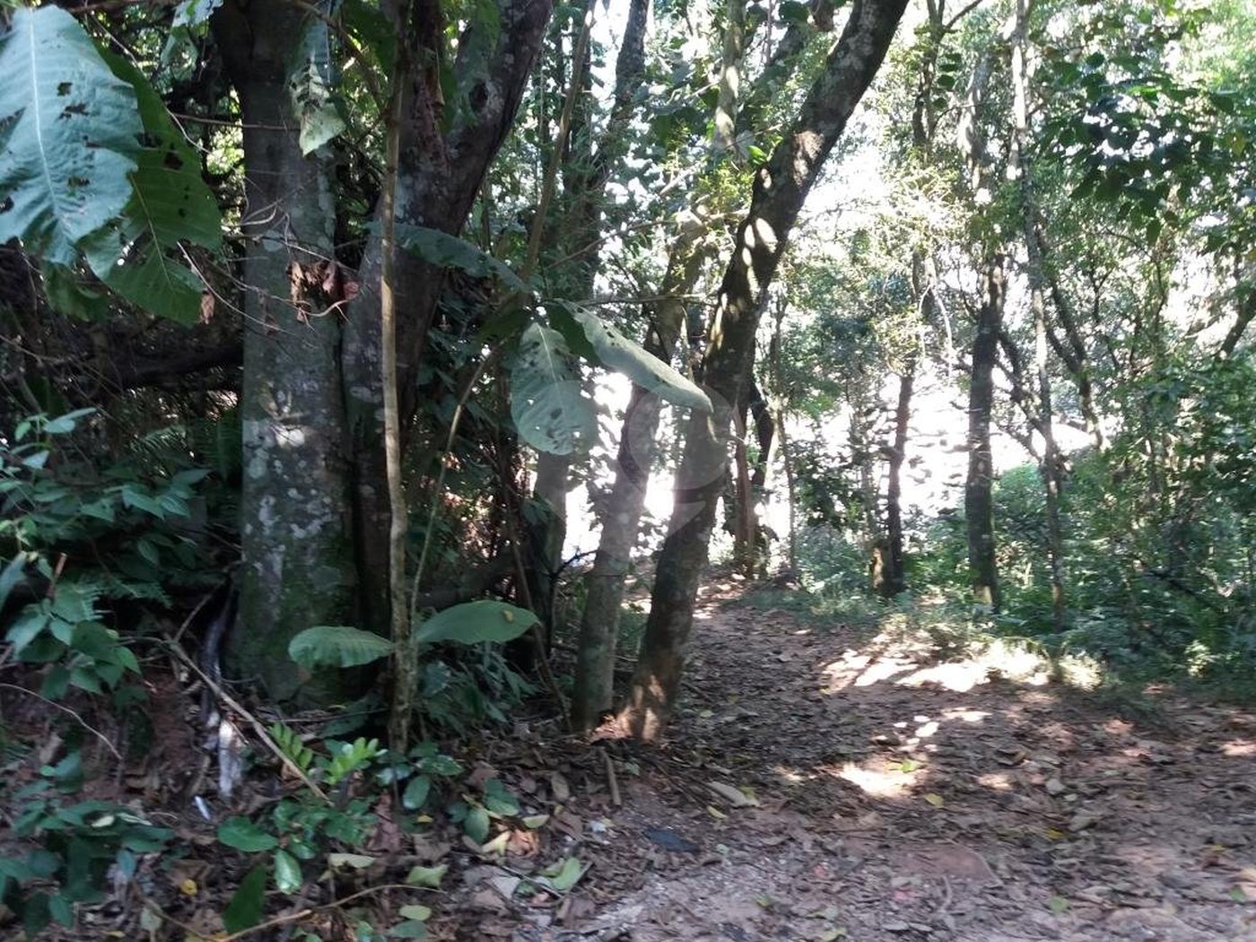 Terreno à venda em Tremembé, São Paulo, SP