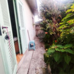 Casa à venda com 2 quartos em Vila Aurora (zona Norte), São Paulo, SP