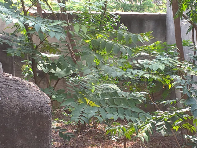 Terreno à venda em Casa Verde, São Paulo, SP