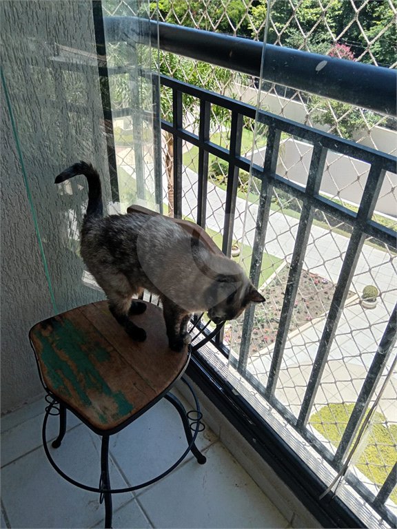 Apartamento à venda com 3 quartos, sendo 1 suíte,  em Mandaqui, São Paulo, SP
