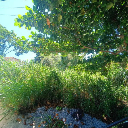 Terreno à venda em Caravelas, Armação dos Búzios, RJ