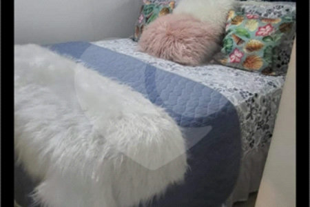 Casa Térrea à venda com 7 quartos, sendo 1 suíte, em Vila Paulicéia, São Paulo, SP