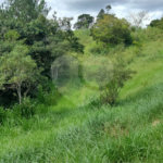 GLEBAS RURAIS EM PIRACAIA A PARTIR 20.000 M², EXCELENTE PARA CHÁCARAS E FAZENDINHAS
