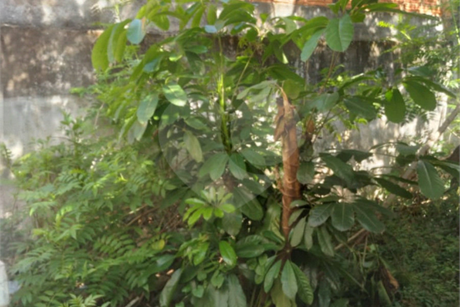 Terreno à venda em Jaçanã, São Paulo, SP