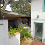 Casa à venda ou para alugar com 4 quartos, sendo 1 suíte, em Tremembé, São Paulo, SP