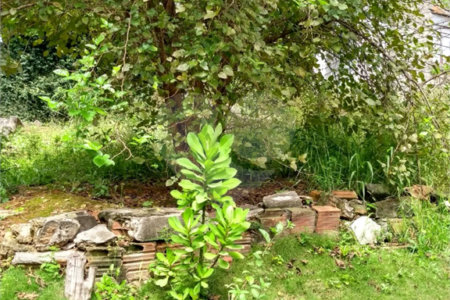 Terreno à venda com 1 quarto em Chora Menino, São Paulo, SP