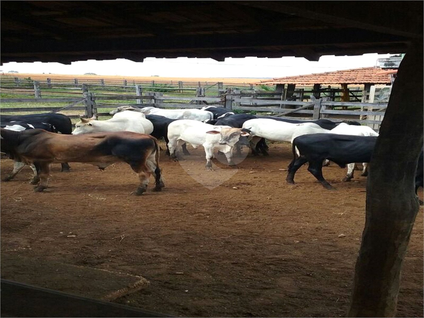 Fazenda à venda com 2 quartos em Canabrava, João Pinheiro, MG