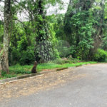 Terreno à venda no condomínio Sausalito, Mairiporã - SP