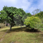 Terreno à venda em Alpes D'ouro, Bom Jesus dos Perdões, SP