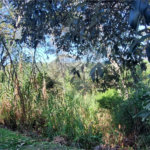 Terreno à venda no condomínio Alpes da Cantareira, Mairiporã - SP
