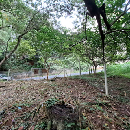 Terreno à venda em Jardim Ampliação, São Paulo, SP