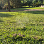 Terreno à venda no condomínio Vivenda do Lago, Sorocaba - SP