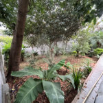 Casa à venda com 3 quartos em Parque Sonia, São Paulo, SP