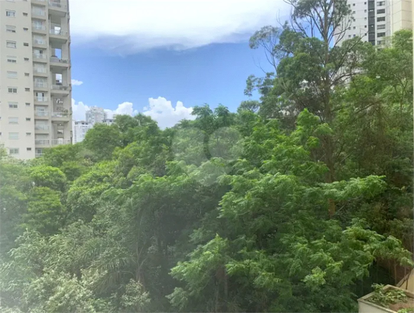 Apartamento à venda com 1 suíte em Paraíso do Morumbi, São Paulo, SP