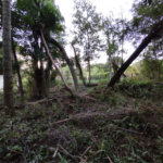 Terreno à venda em Chácaras do Guacuri, Itupeva, SP
