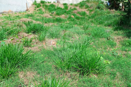 Terreno à venda em Jardim Paulista, Atibaia, SP