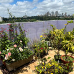 Cobertura à venda com 3 quartos, sendo 2 suítes, em Bela Aliança, São Paulo, SP