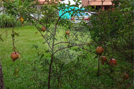 Chácara no Aracê de Santo Antônio, ótima oportunidade de negócio