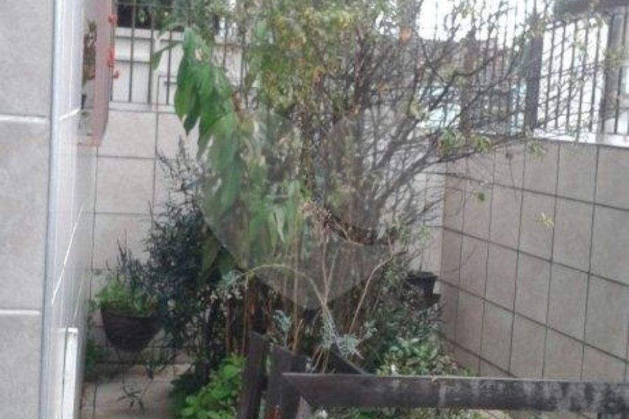 Sobrado à venda com 3 quartos em Casa Verde, São Paulo, SP
