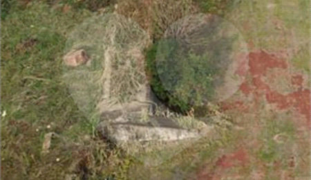 Área de Terra à venda em Vila Renata (vila Xavier), Araraquara, SP