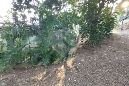 Terreno à venda em Santana, São Paulo, SP