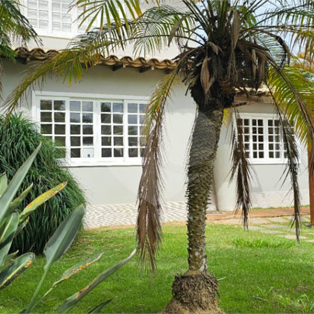 Casa à venda com 4 suítes em Praia Rasa, Armação dos Búzios, RJ