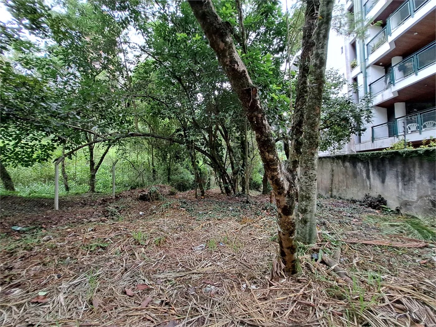 Terreno à venda em Jardim Ampliação, São Paulo, SP