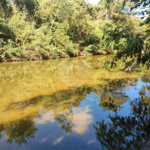 Chácara à venda com 2 quartos, sendo 1 suíte, em Área Rural de Cuiabá, Cuiabá, MT