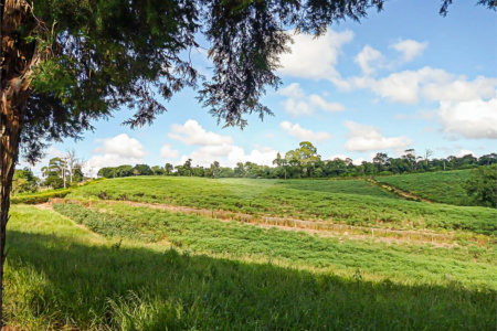 Terreno à venda em Iara, Atibaia, SP