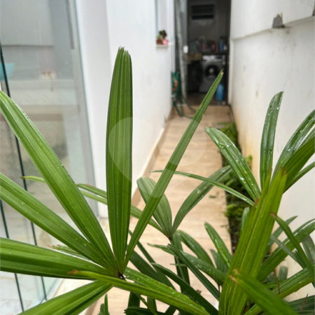 Sobrado à venda com 3 quartos, sendo 1 suíte, em Jardim Vazani, São Paulo, SP