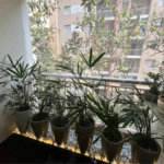 Apartamento à venda com 1 suíte em Vila Polopoli, São Paulo, SP