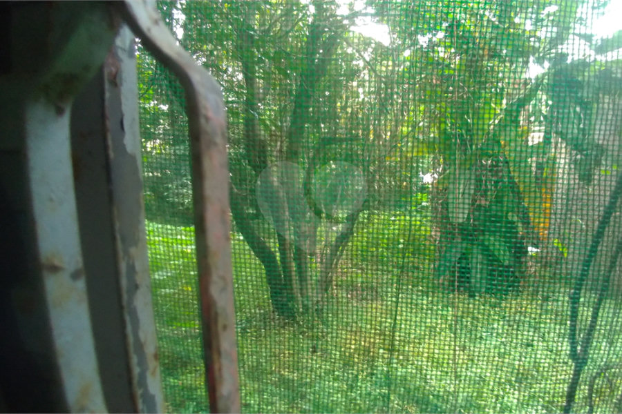 Terreno à venda em Casa Verde, São Paulo, SP
