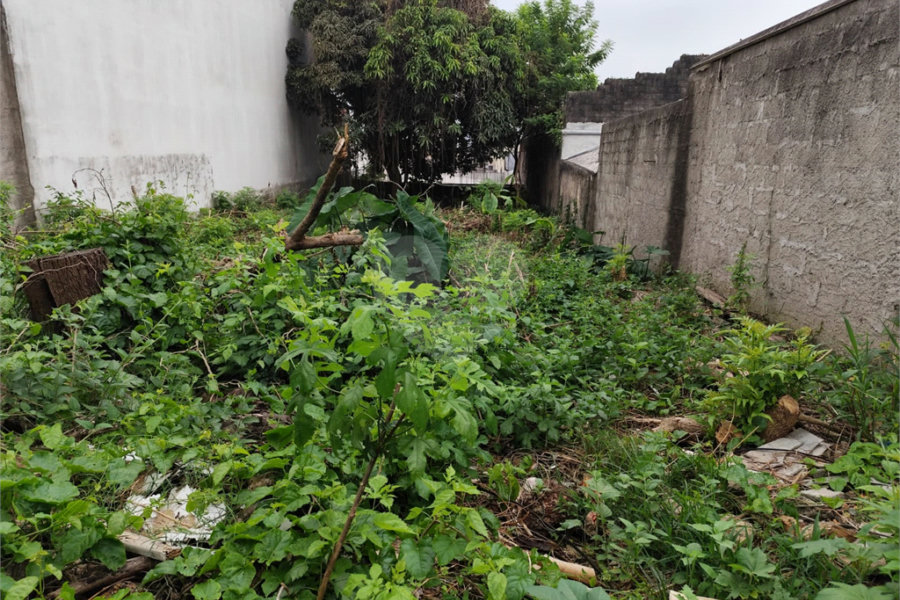 Terreno à venda com 1 suíte em Vila Constança, São Paulo, SP