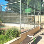 Apartamento à venda com 3 quartos em Chácara Santo Antônio (zona Sul), São Paulo, SP