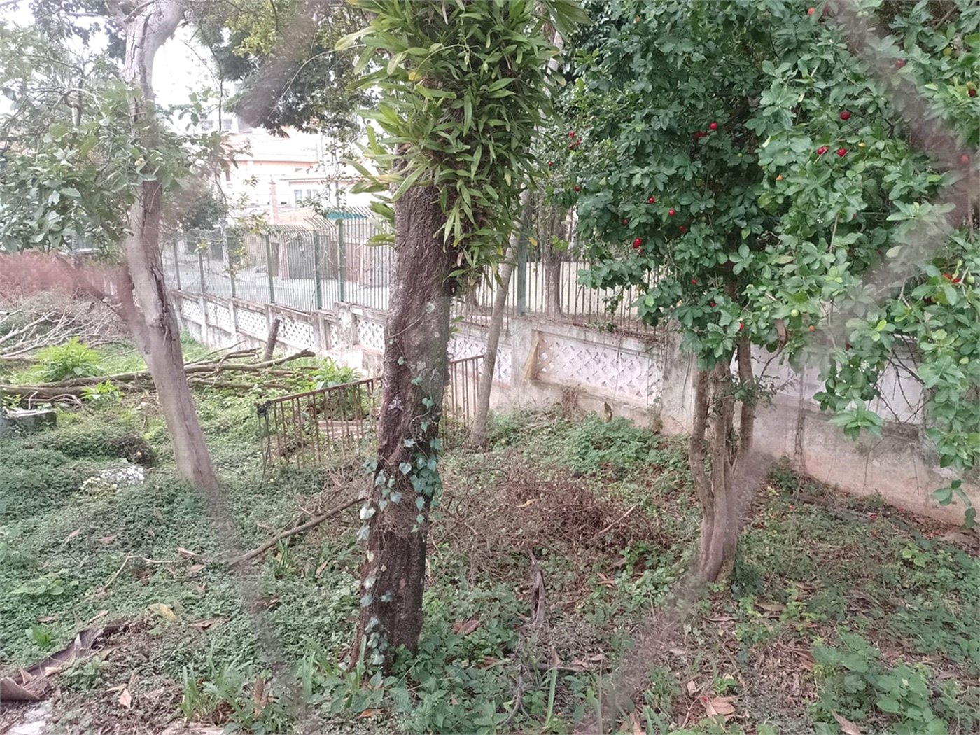 Terreno à venda em Chácara Inglesa (zona Norte), São Paulo, SP