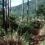 Terreno à venda em Jardim Glória, Miracatu, SP