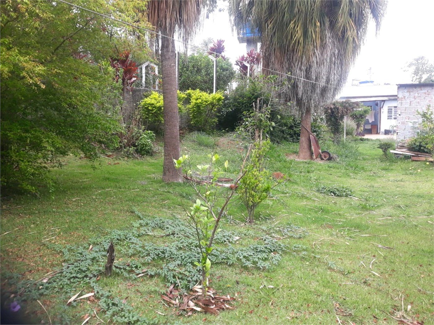Terreno para alugar em Jardim Rene, São Roque, SP
