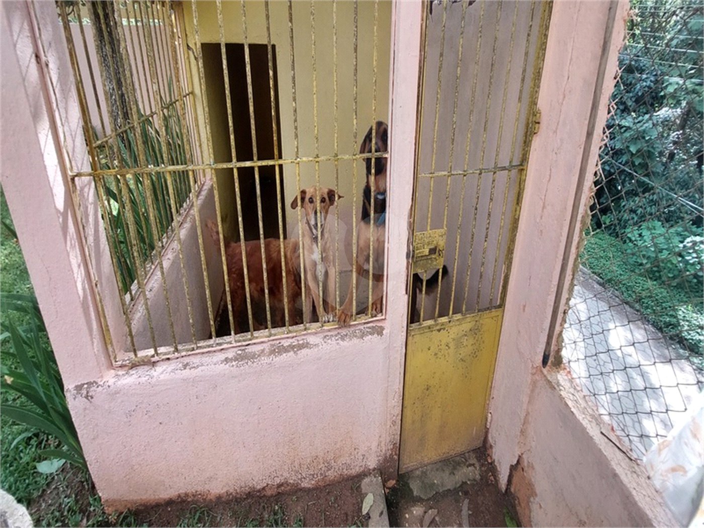 Casa à venda com 3 quartos, sendo 1 suíte, em Pirucaia, Mairiporã, SP
