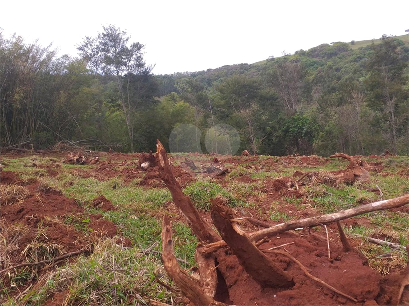 Sítio à venda com 2 quartos no Centro, Descalvado, SP